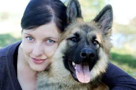... they are some of the rarer and not as easily accessible breeds. German Shepherd Guard Dog Training. German Shepherds Make Wonderful Family Watch Dogs - German-Shepherd-Guard-Dog-Training