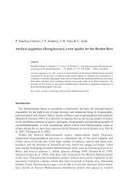 (PDF) Anchusa aegyptiaca (Boraginaceae), a new species for the ...
