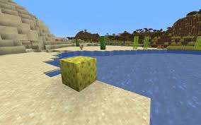 How to make a sponge in Minecraft