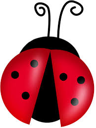 Image result for ladybug clipart free