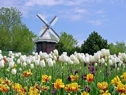 Image result for spring scenery