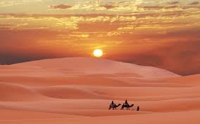 Image result for sahara desert