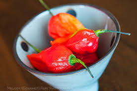 Image result for Photos of chili peppers
