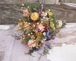 Immagine di Piante e fiori stabilizzati per la decorazione