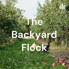 The Backyard Flock