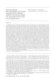 Phylogenetic Relationships of Vulpia and Related Genera (Poeae ...