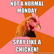 Not a normal Monday Spry like a chicken! - Anti Joke Chicken ... via Relatably.com