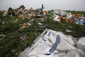 Image result for malaysian airline mh17