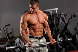Image result for weight lifting