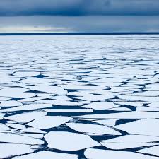 "The Disruptive Consequences of Record Low Antarctic Sea Ice on the Earth
