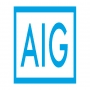 Image result for AIG  logo