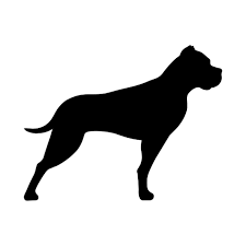GP Bullhound's Podcast