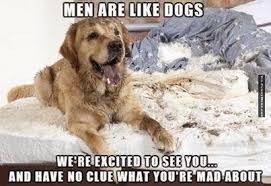 Animal memes - Men are like dogs | FunnyMeme.com via Relatably.com