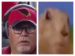 Dramatic Bruce Arians&#39; is one of the best memes to ever hit the ... via Relatably.com