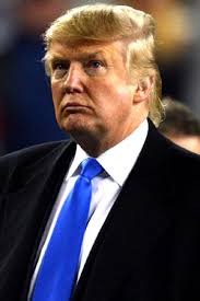 Image result for haircut Donald Trump