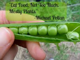 Image result for michael pollan quotes