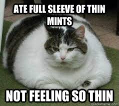 Ate full sleeve of thin mints not feeling so thin - Fat Cat ... via Relatably.com