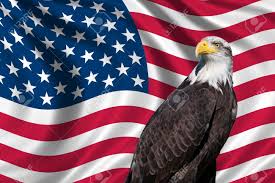Image result for PICS OF THE AMERICAN FLAG