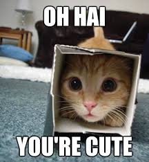 Camouflage Kitten memes | quickmeme via Relatably.com