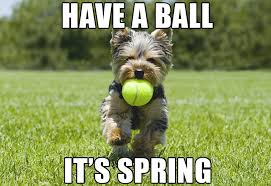 The Memes of Spring — Bigstock Blog via Relatably.com
