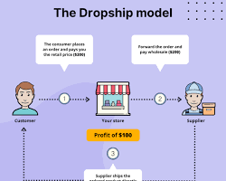 Price of the dropshipping website