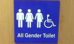 Image result for usual toilet for women