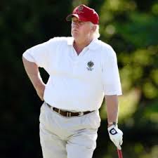 Image result for fat donald trump images