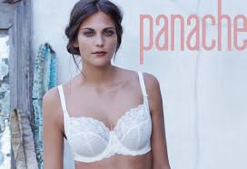 Image result for panache