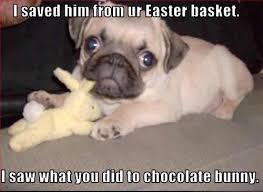 Funny Easter - Happy Friendship Day Images, Pictures, Quotes ... via Relatably.com