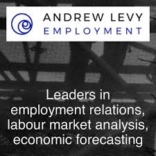Andrew Levy Employment