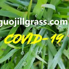Severe COVID-19 Recovery Sharing—guojillgrass.com