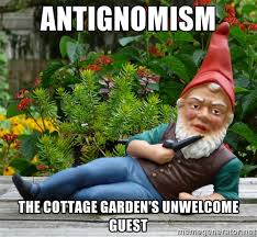 Antignomism the cottage Garden&#39;s unwelcome guest - Gnomesayin ... via Relatably.com