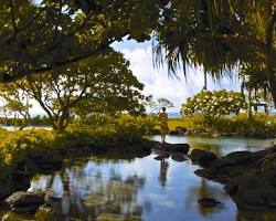 Gambar Kauai's relaxation and rejuvenation