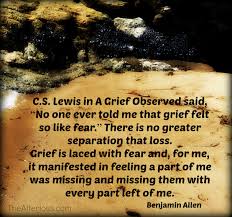 Image result for fear and grief