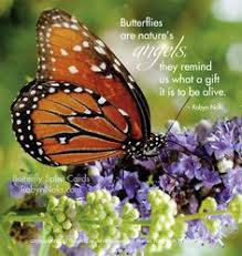 Butterflys on Pinterest | Butterfly Quotes, Infant Death and ... via Relatably.com