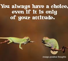 Image result for choice of attitude