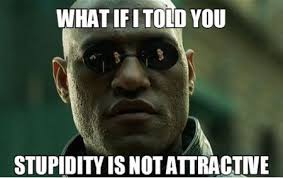 FunniestMemes.com - Funniest Memes - [What If I Told You Stupidity ... via Relatably.com