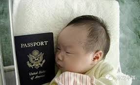 「中國孕婦美國產子」的圖片搜尋結果