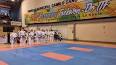Video for itf taekwondo tournaments 2021