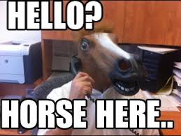 Horse Here... | Horse Head Mask | Know Your Meme via Relatably.com