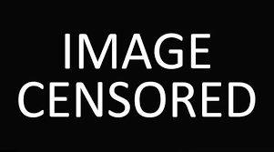Image result for censored