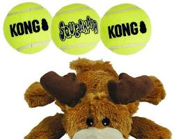 KONG Cozie Marvin The Moose and 3 SqueakAir Balls dog toy set