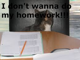 write my homework
