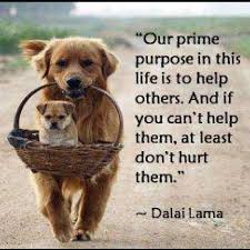 Image result for pets quotes