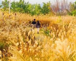 전북 군산시 옥산면 여행지 풍경, AI로 생성