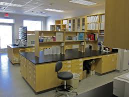 Image result for chemistry lab equipment