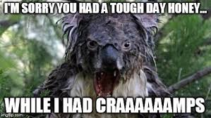 Angry Koala Meme - Imgflip via Relatably.com
