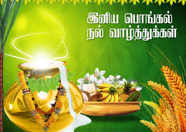 Image result for pongal 2016