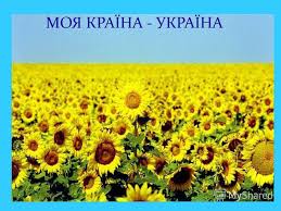 Картинки по запросу україна моя країна фото