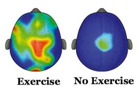 Image result for exercising AND brain